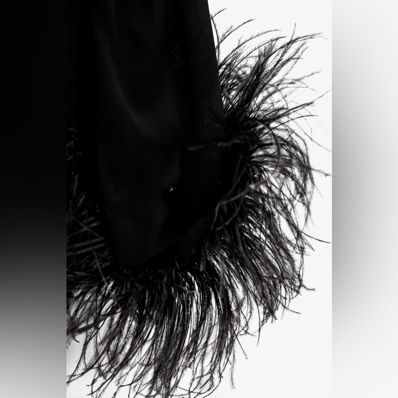 ZARA TOP WITH FEATHERS - Picture 6 of 8